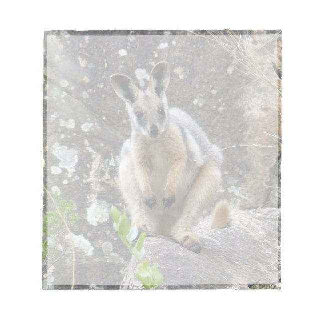 yellow foot wallaby notepad (Front)