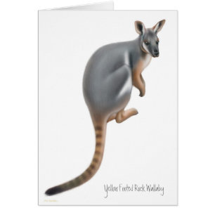 Yellow Footed Rock Wallaby Card