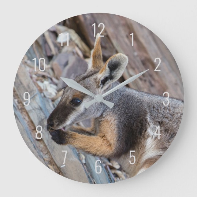 Yellow Footed Rock Wallaby Kangaroo Australia Large Clock (Front)