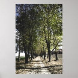 yellow forrest gump poster