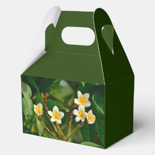 Yellow Frangipani Favor Box