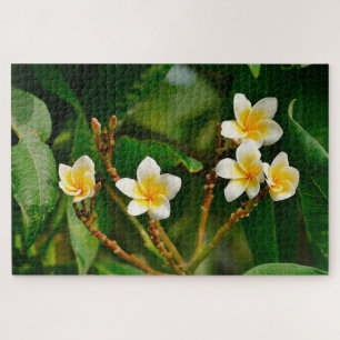 Yellow Frangipani Jigsaw Puzzle