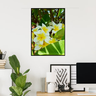 Yellow Frangipanis Growing On A Tree, Poster