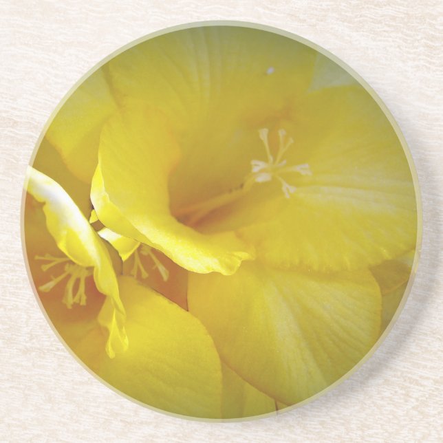 Yellow Freesia Flowers Coaster (Front)