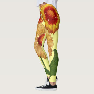 yellow gaillardias flowers print leggings