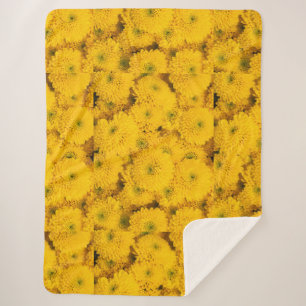 Yellow garden asters mums chrysanthemums flower sherpa blanket