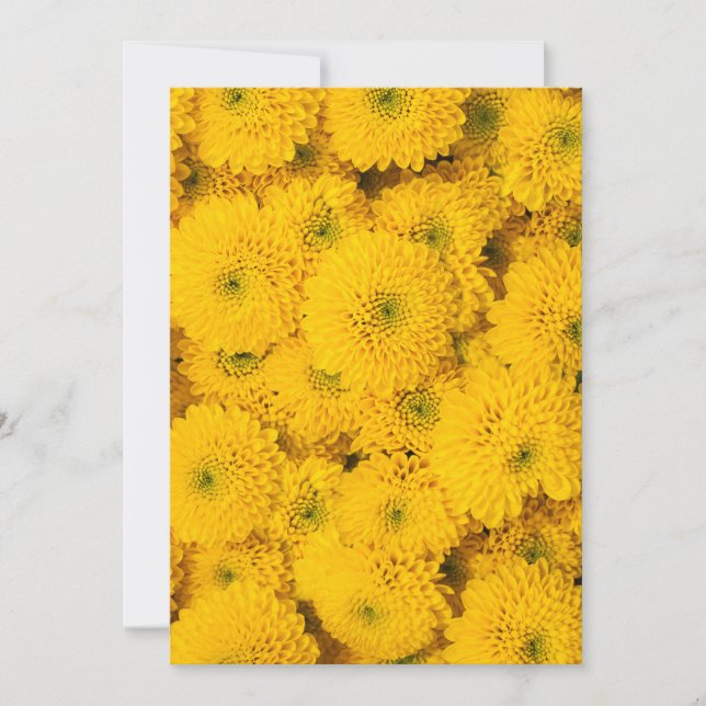 Yellow garden asters Perfect colour summer flower Invitation (Front)