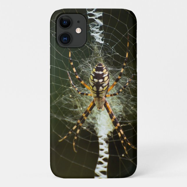 Yellow garden spider closeup Case-Mate iPhone case (Back)