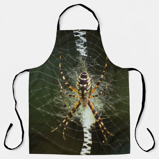Yellow garden spider on web in dark apron (Front)