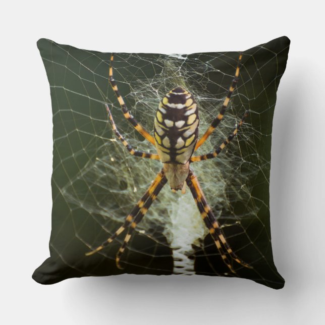 Yellow garden spider on web in dark throw pillow (Front)