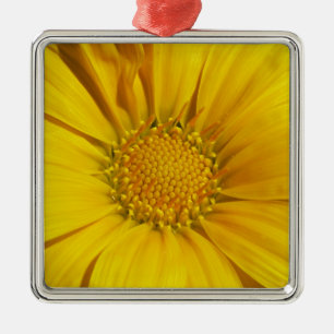 Yellow Gazania Metal Ornament