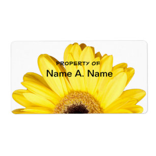 Yellow Gerber Daisy Close Up Photograph