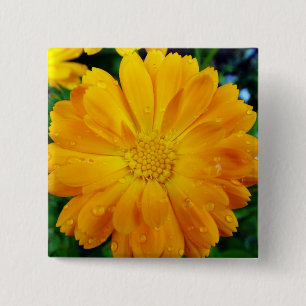 yellow gerbera daisy flower 2 inch square button