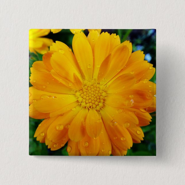 yellow gerbera daisy flower 2 inch square button (Front)
