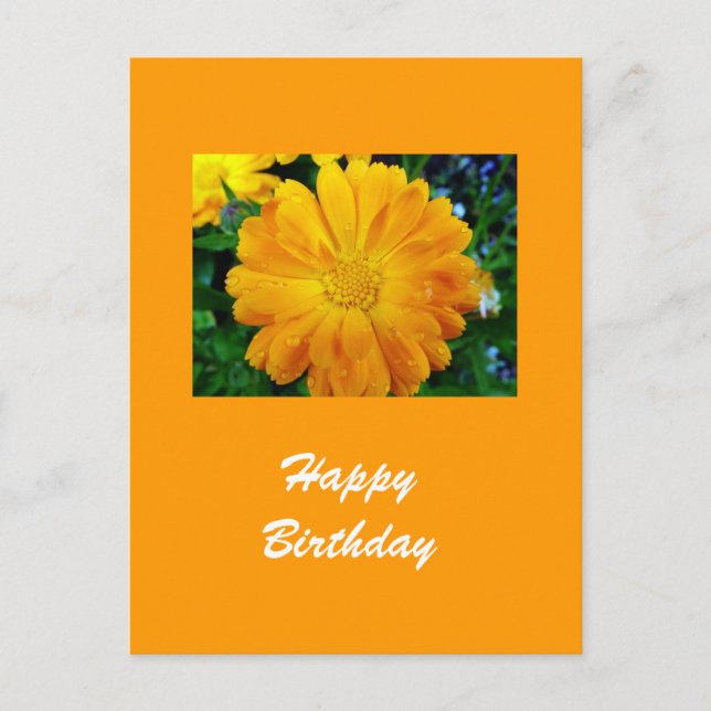 yellow gerbera daisy flower postcard (Front)