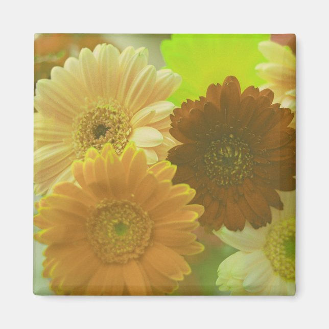 Yellow Gerbera Daisy Flowers Refrigerator Magnets (Front)