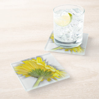 yellow gerbera daisy glass coaster