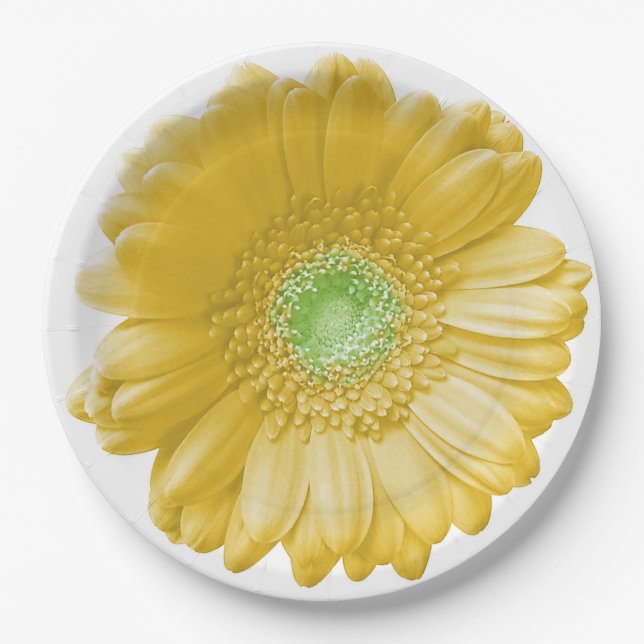 Yellow gerbera daisy paper plate (Front)