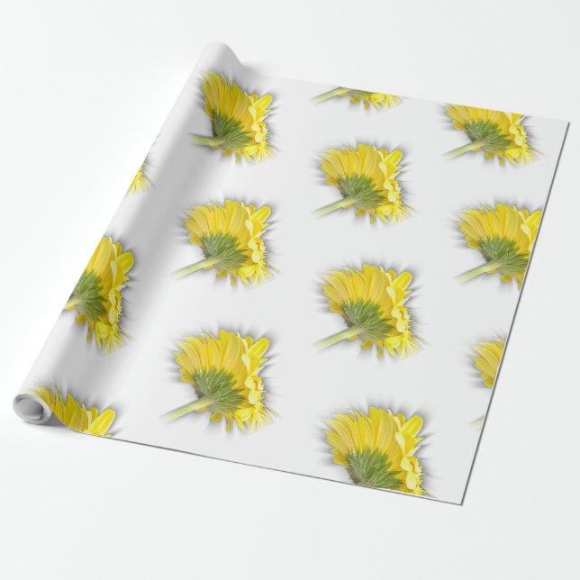 yellow gerbera daisy wrapping paper (Unrolled)
