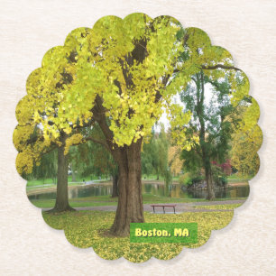 Yellow Gingko Tree Paper Coaster