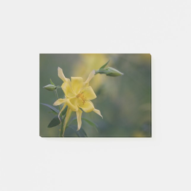 Yellow Good morning Post-it Notes (Front)