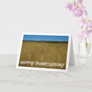 Yellow Grass Landscape Card