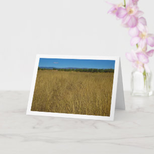 Yellow Grass Landscape Card