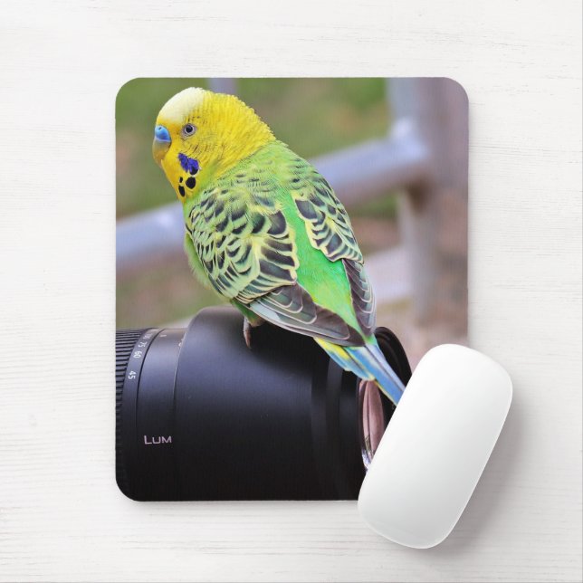Yellow, Green and Blue Exotic Bird on Camera Lens Mouse Pad (With Mouse)