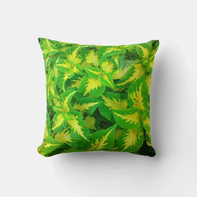 Yellow Green Coleus Tropical Pillow (Front)