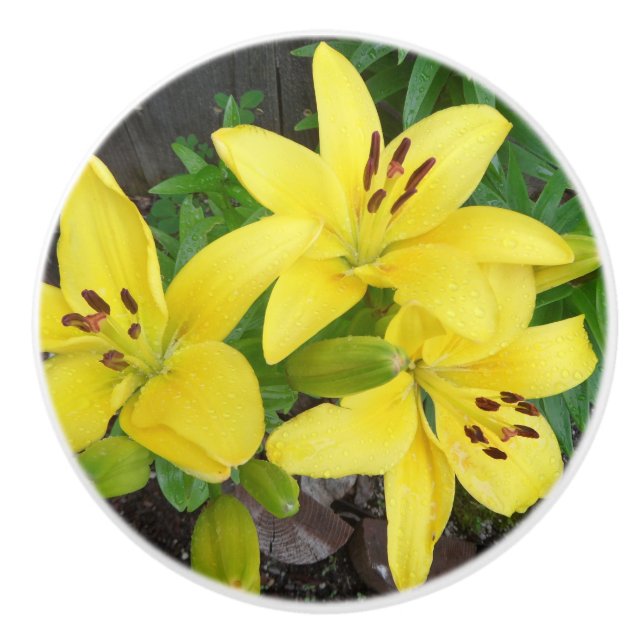 Yellow & Green Lily Ceramic Pull Door Knob (Front)