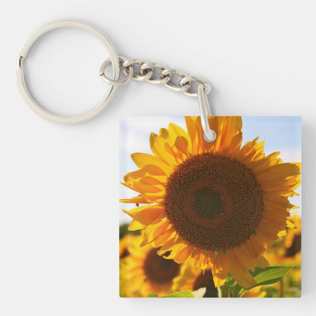 Yellow Hardy Sunflower Art Best Sunflower Photos Keychain (Front)