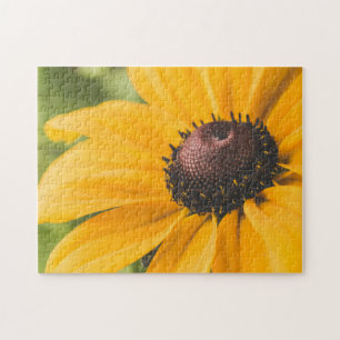 Yellow Hardy Sunflower Best Sunflower Photos Jigsaw Puzzle