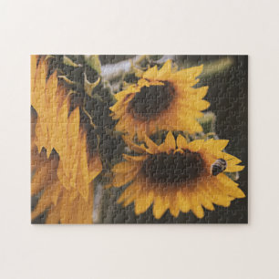 Yellow Hardy Sunflower Best Sunflower Photos Jigsaw Puzzle