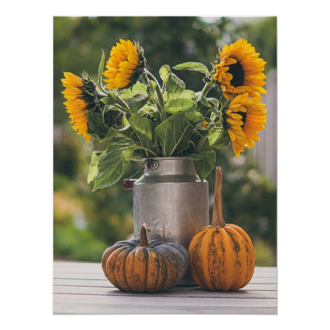 Yellow Hardy Sunflower Best Sunflower Photos Poster (Front)