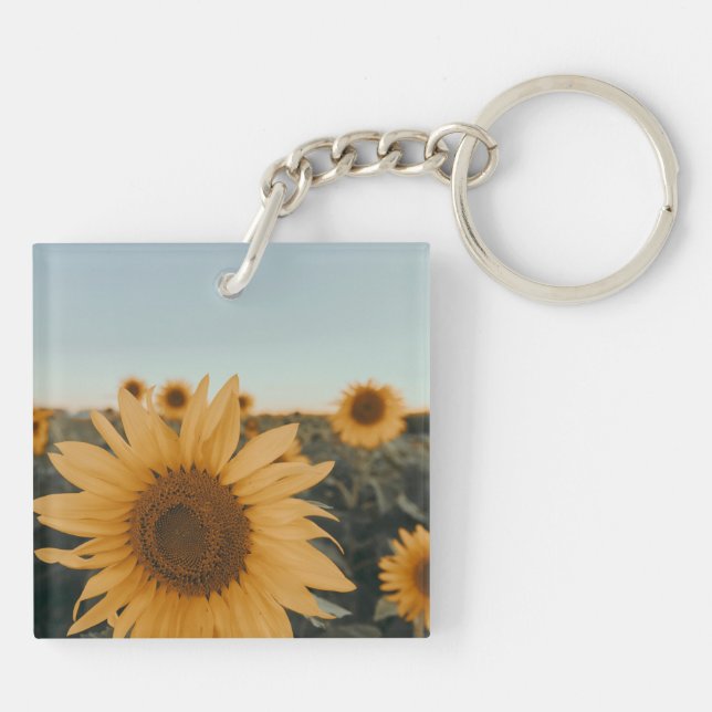 Yellow Hardy Sunflower Meilleures photos de tourne (Dos)