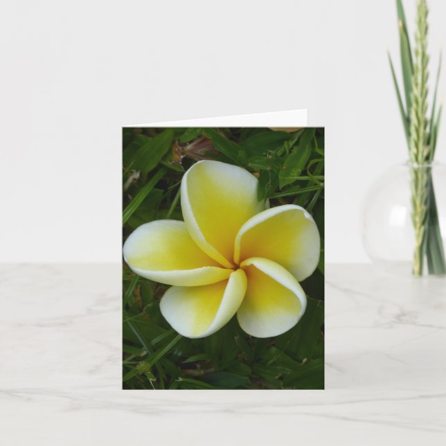Yellow Hawaiian Plumeria Folded Greeting Card (Front)