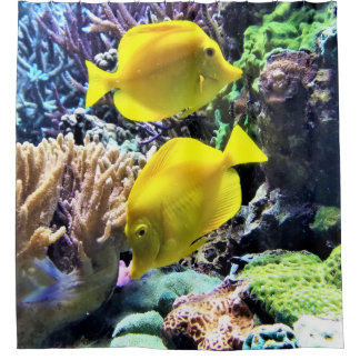 Yellow Hawaiian Tang Fish