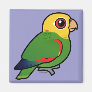 Yellow-headed Amazon Magnet