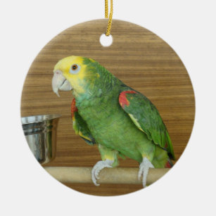 Yellow-Headed Amazon Parrot Ceramic Ornament