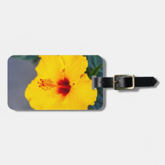 Yellow Hibiscus Close up Luggage Tag