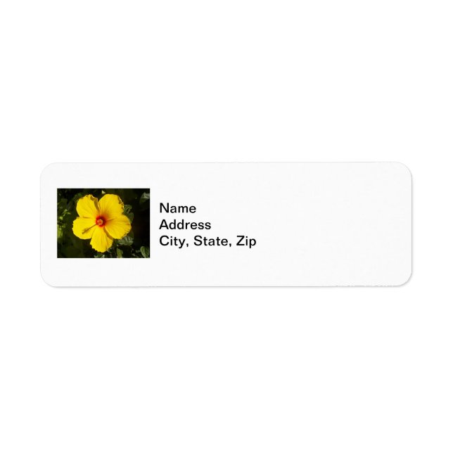 Yellow Hibiscus Flower (Front)