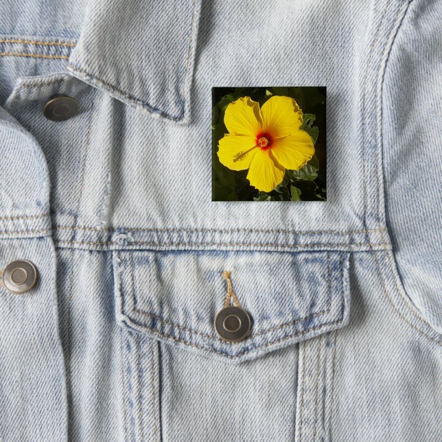Yellow Hibiscus Flower 2 Inch Square Button (In Situ)