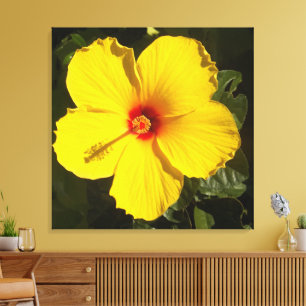Yellow Hibiscus Flower Canvas Print