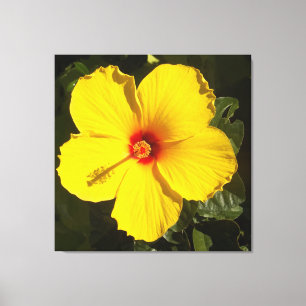 Yellow Hibiscus Flower Canvas Print