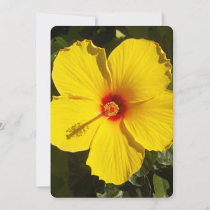 Yellow Hibiscus Flower Invitation