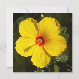 Yellow Hibiscus Flower Invitation