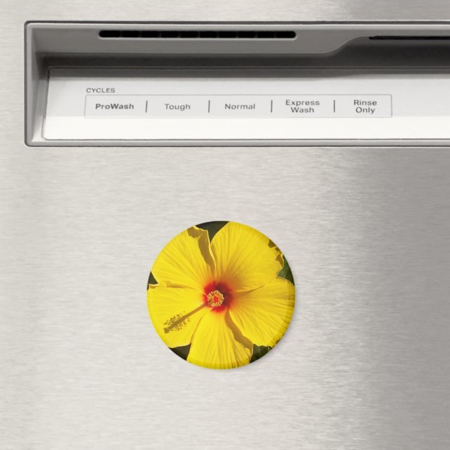 Yellow Hibiscus Flower Magnet (In Situ (Dishwasher))