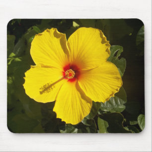 Yellow Hibiscus Flower Mouse Pad
