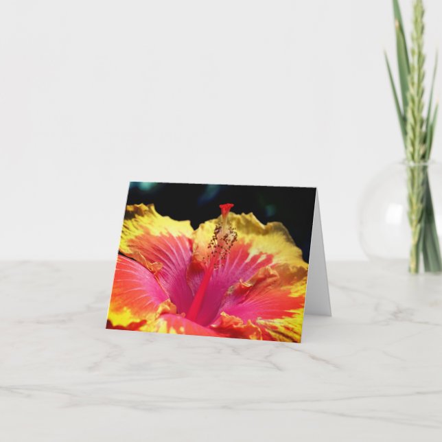 Yellow Hibiscus Flower Photography  Note Card (Front)