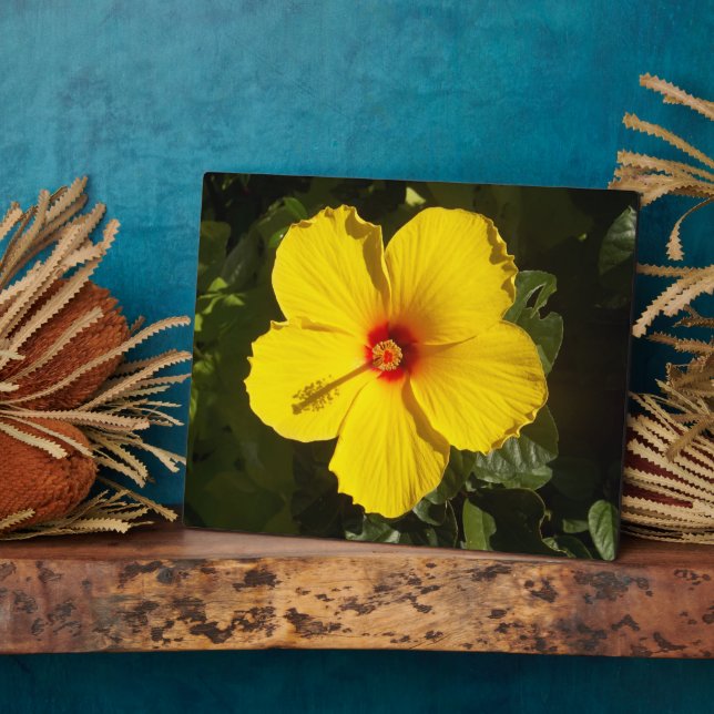 Yellow Hibiscus Flower Plaque (Side)